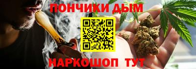 PSILOCYBIN Донской
