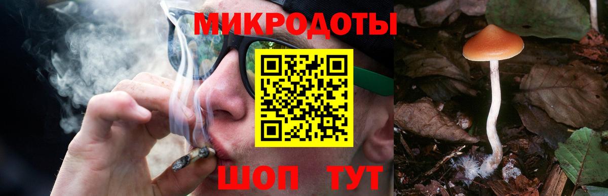 Галлюциногенные грибы мухоморы Михайловск