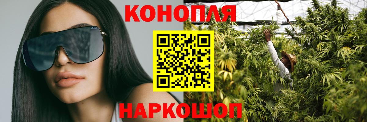 Конопля OG Kush Михайловск